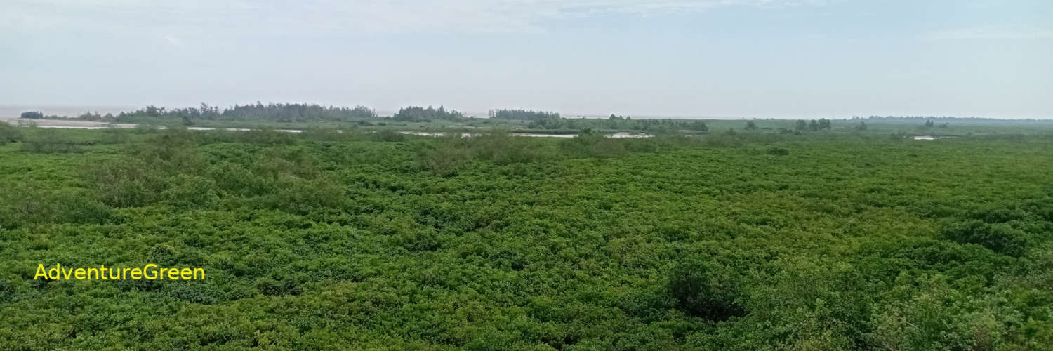 Birding places in Vietnam